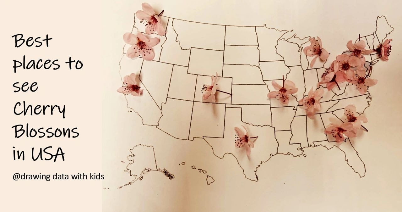 Maps & Cherry Blossoms